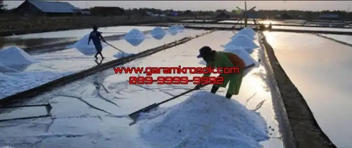 Jual Garam Kasar Eceran: Cerita Tentang Kristal Putih yang Menggerakkan Roda Ekonomi